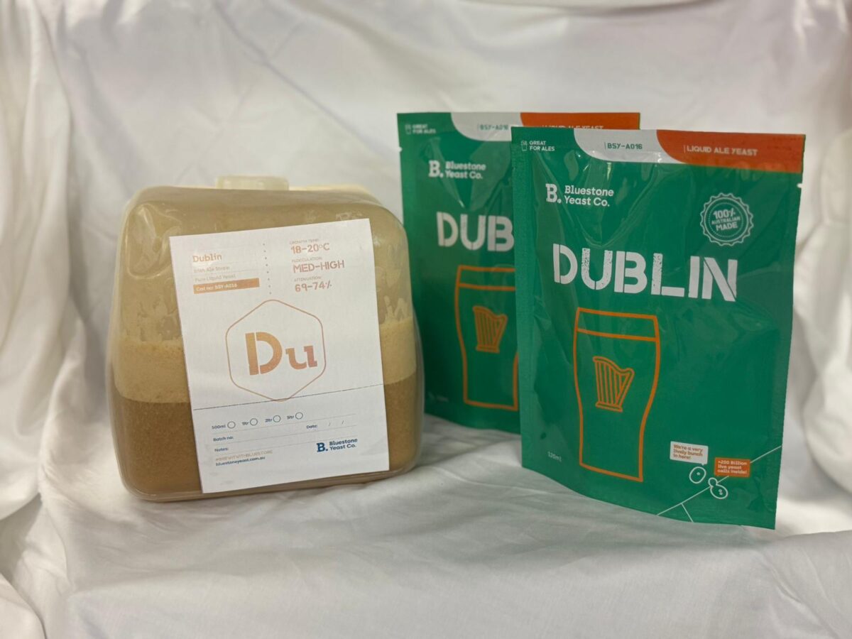 Bluestone Yeast Dublin commercial pitch and homebrew packs