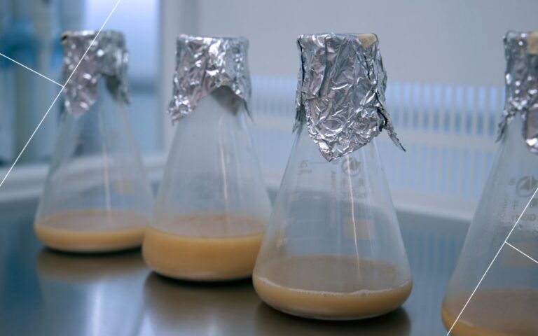 9 yeasty terms and how they'll help you brew better article image