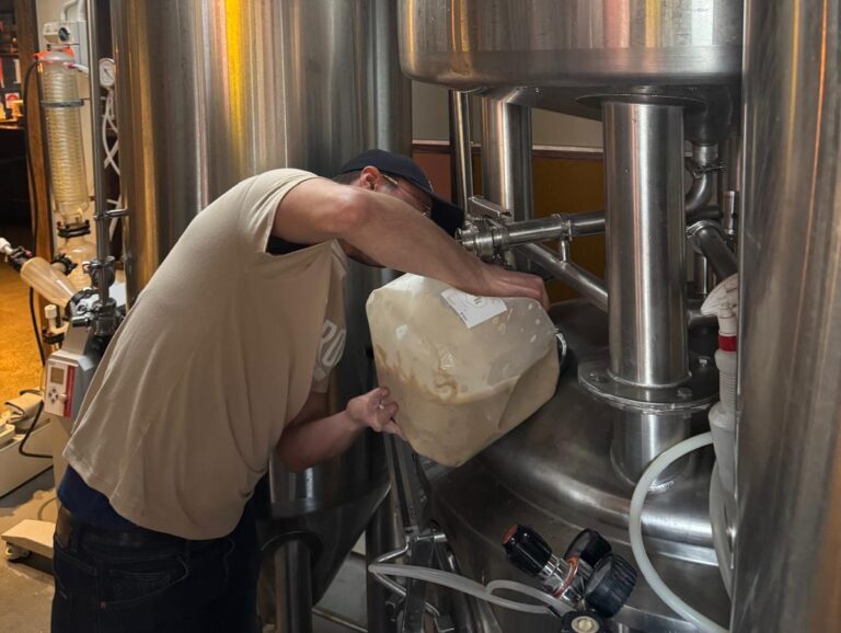 Choosing an Equivalent Yeast Strain article image