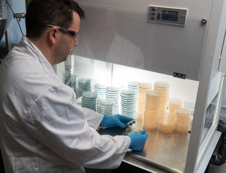 Creating a happy home (for your yeast) article image