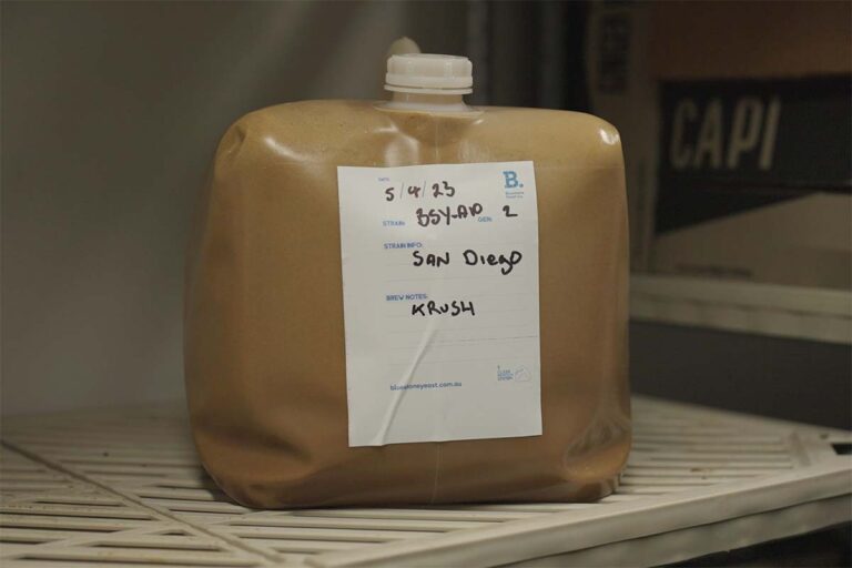 Holiday Period Liquid Yeast Storage Checklist article image