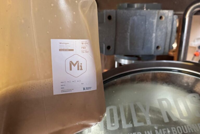 How Yeast Adds Flavour to Beer article image