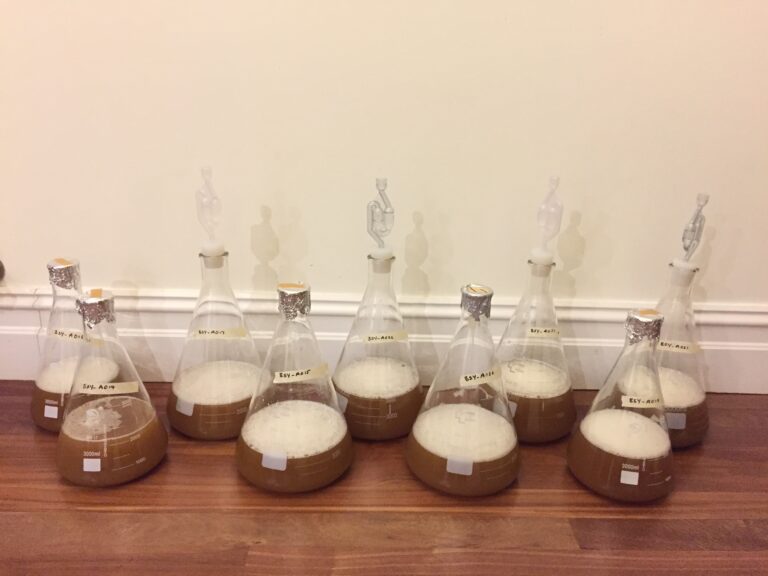 Providing a Nutritional Diet For Your Yeast article image