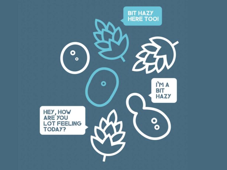 What is haze and where does it come from? article image