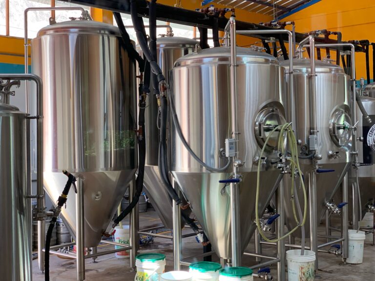 Managing Your Yeast Throughout its Lifecycle article image