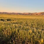 WhatsApp Image 2025-06-02 at 15.36.25_7269fcdd