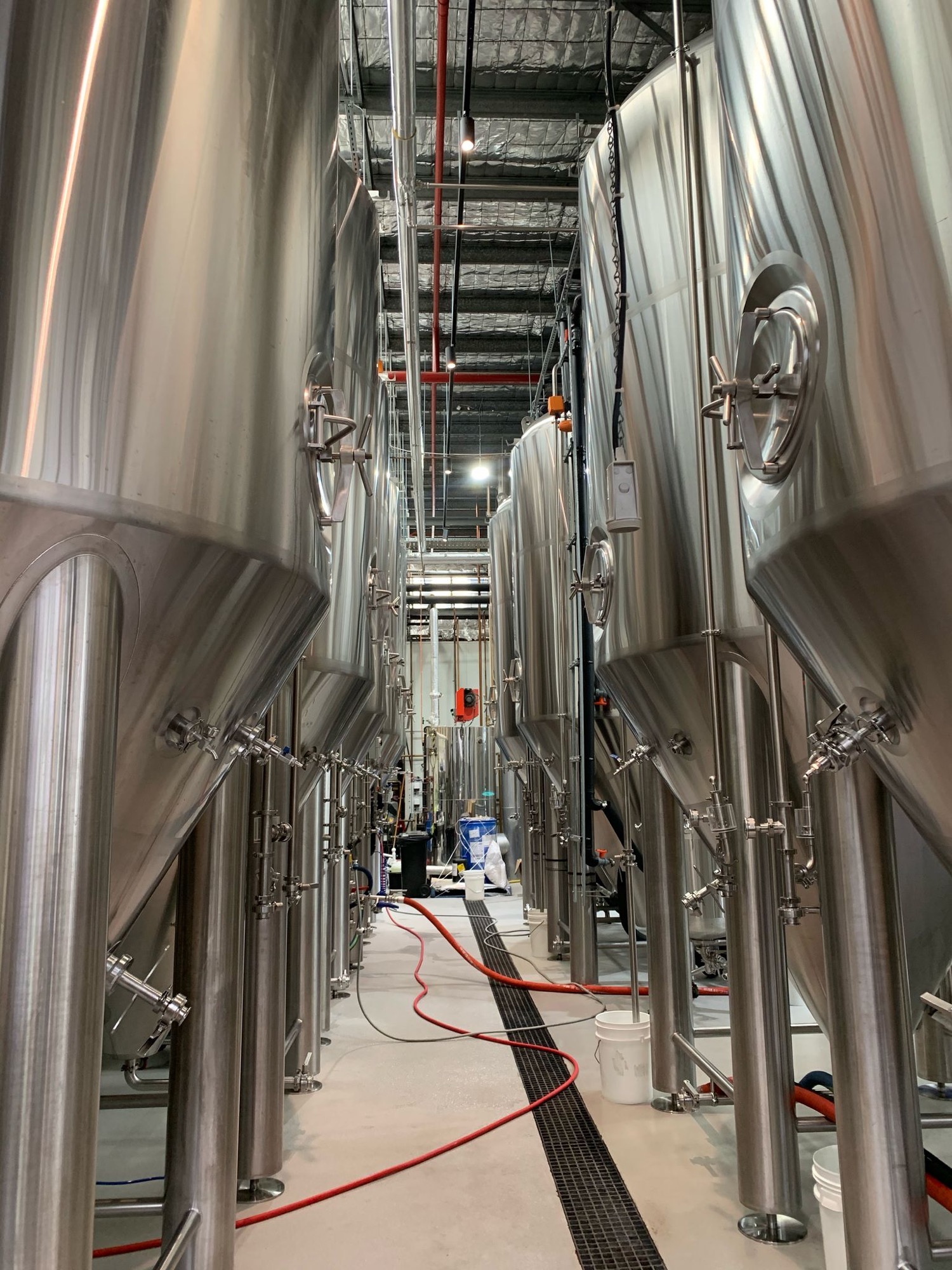 Stainless steel fermentation tanks in a commercial brewery corridor