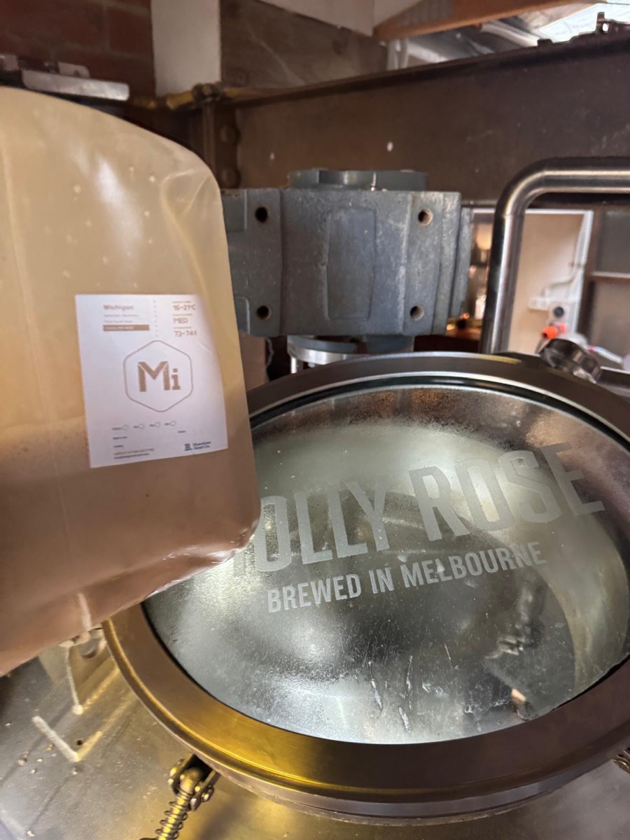 BSY Michigan yeast being pitched into a Molly Rose fermenter