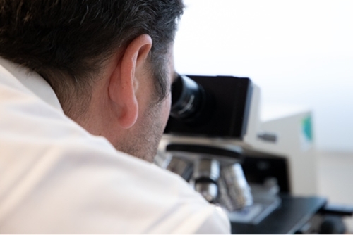 Bluestone Yeast microscope quality control work