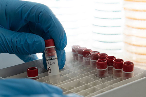 Bluestone Yeast lab vial storage for brewery Bio-Banking