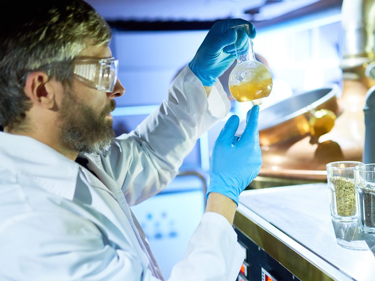 Man checking clarity of beer