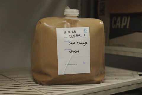 Liquid Yeast being stored in a cool room