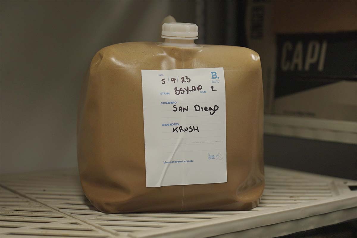 Liquid Yeast being stored in a cool room